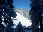 2013-02-07_09.29.36