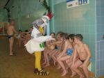 Slika_228