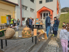IMG_20230421_090210