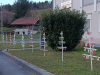 IMG_20241224_084330x